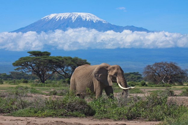 Kilimanjaro_Africa_Mt