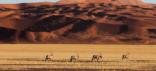 Namibia Vs Rwanda