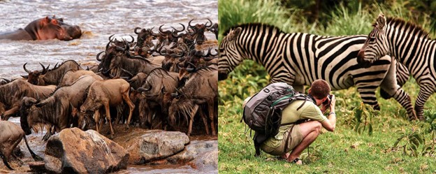 First Time The Serengeti VS The Masai Mara Going For