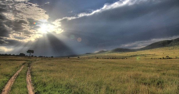 Going_For_First_Time_The_Serengeti_VS_The_Masai_Mara