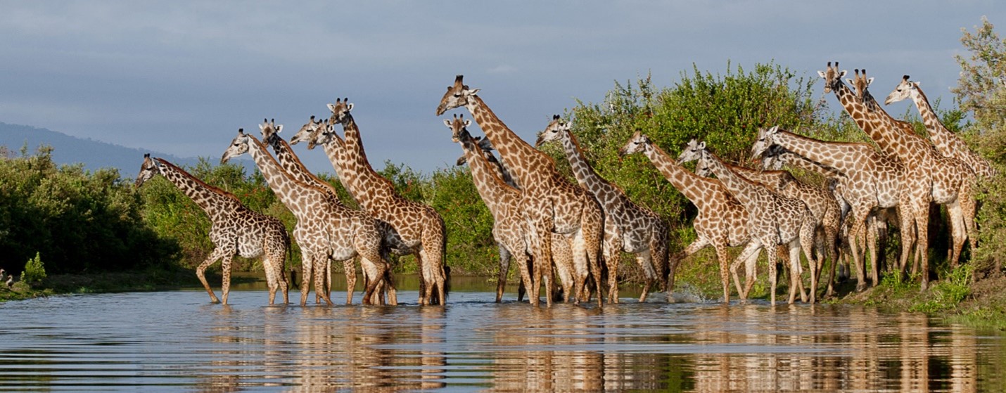 National Tanzania Parks