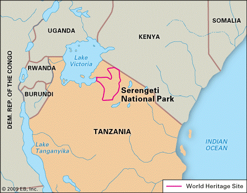 Safari Planning A Serengeti