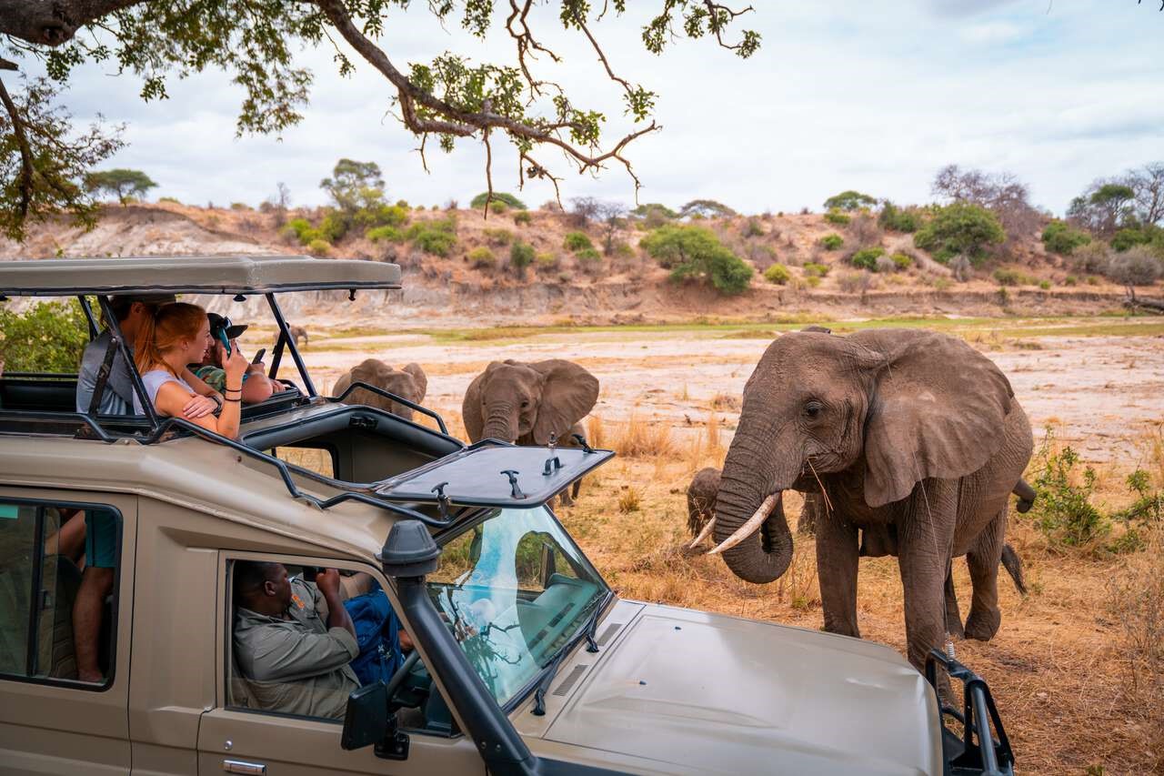 Serengeti Planning A Safari