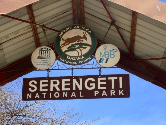 Serengeti_Planning_Safari_A