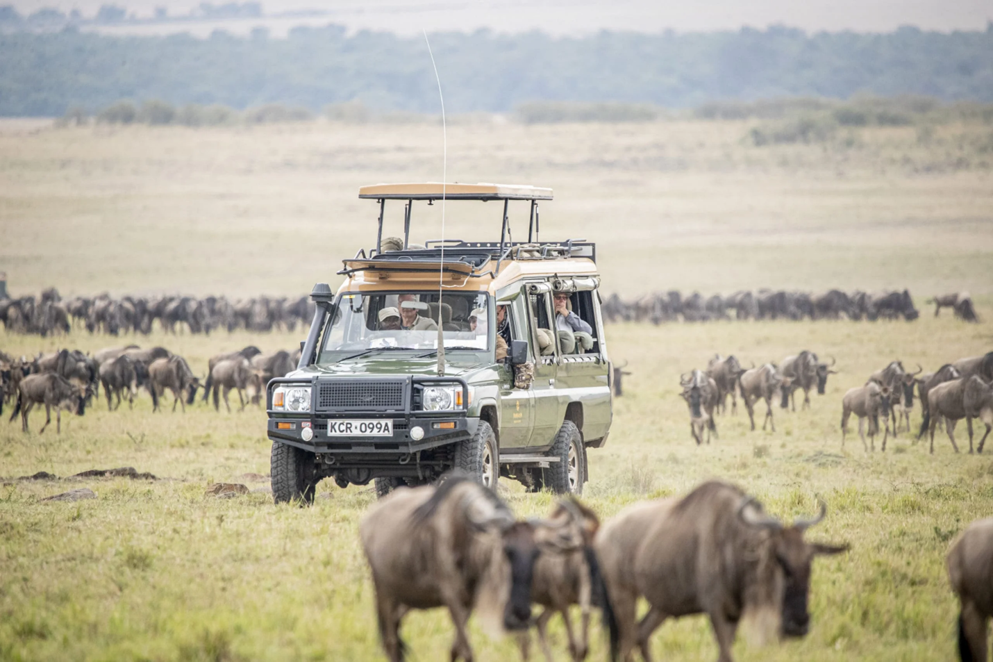 Serengeti safari cost