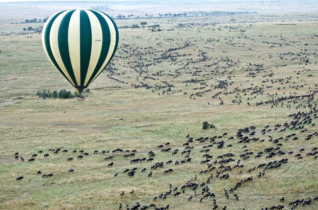 Serengeti_VS_Masai_Mara_The_Going_For_The_First_Time