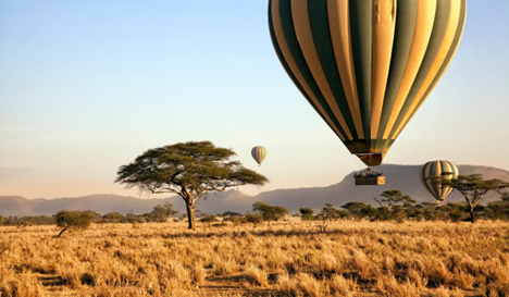 In_Africa_Serengeti_National_Park