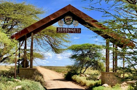 Best safari Serengeti