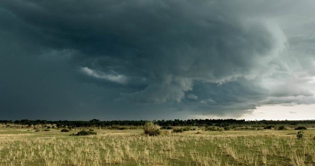 The_Serengeti_Going_For_First_Time_VS_The_Masai_Mara