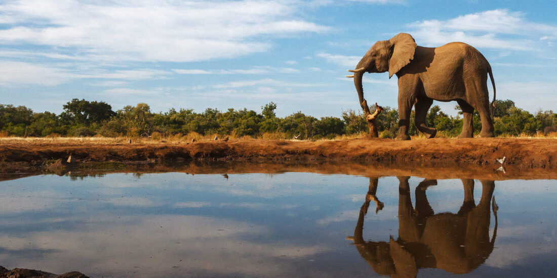 Luxury Botswana Safari