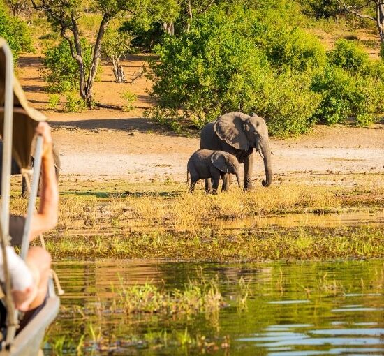 Luxury African Safari