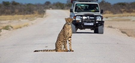 luxury safari in Namibia ,ongava namibia