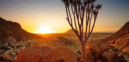 luxury safari in Namibia ,ongava namibia