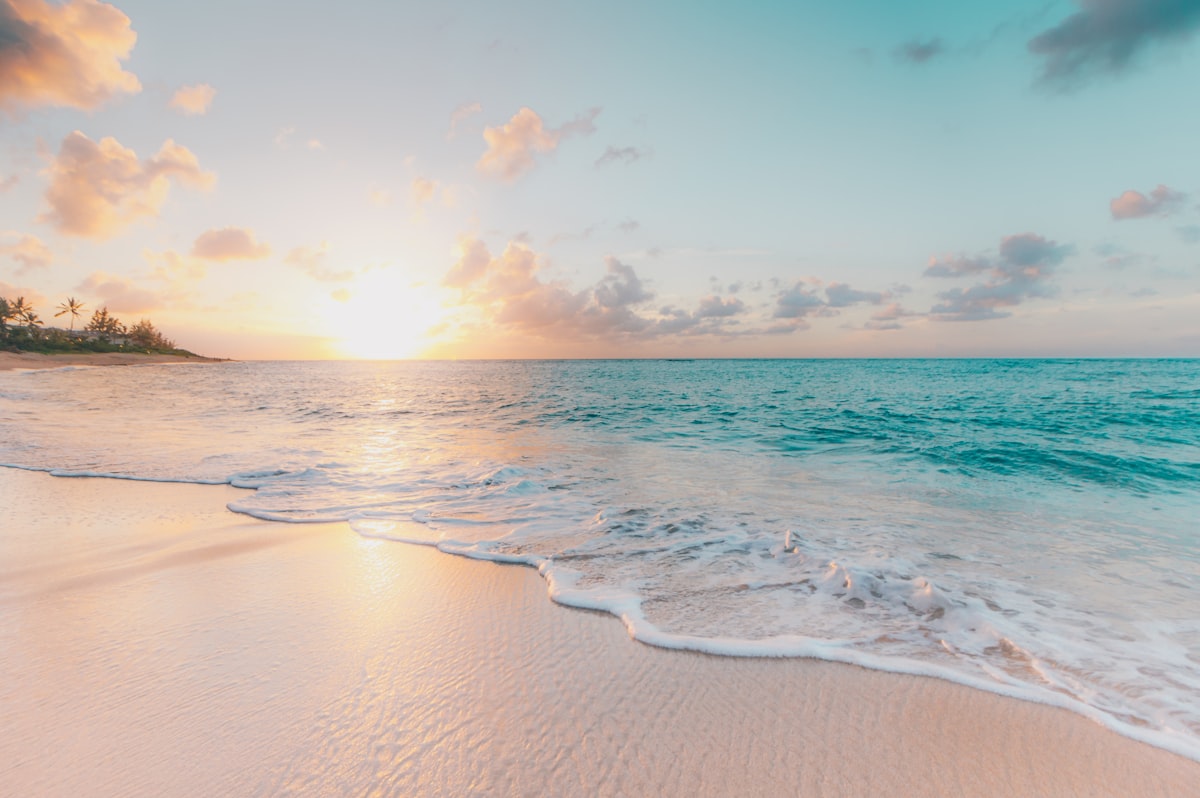 Palm-fringed white sand beach meeting a calm Indian Ocean